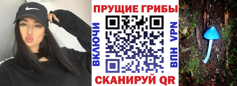 Псилоцибиновые грибы мицелий  Харабали 